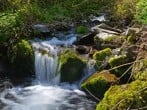Waterfalls Waterfalls